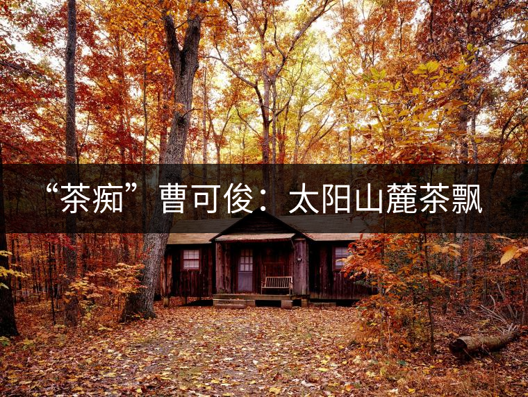 “茶癡”曹可?。禾柹铰床栾h香，清明時節(jié)采茶忙