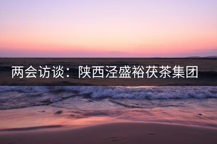兩會(huì)訪(fǎng)談：陜西涇盛裕茯茶集團(tuán)董事長(zhǎng)馬恒光