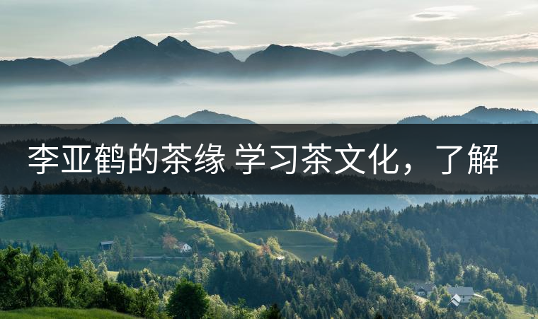李亞鶴的茶緣 學(xué)習(xí)茶文化，了解茶文化，品味茶文化