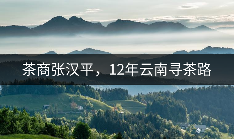 茶商張漢平，12年云南尋茶路