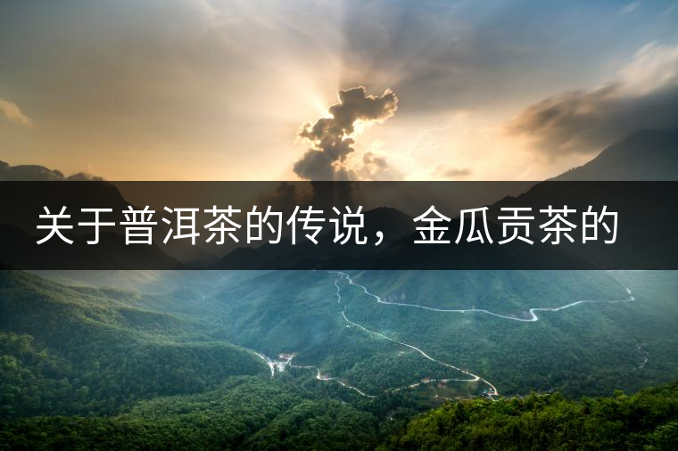 關于普洱茶的傳說，金瓜貢茶的來由