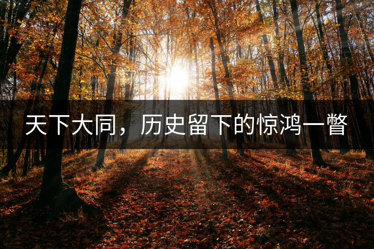 天下大同，歷史留下的驚鴻一瞥