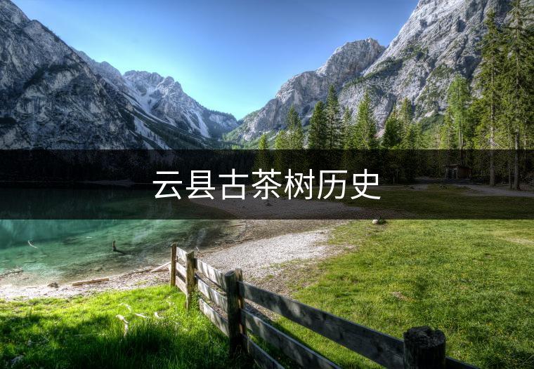 云縣古茶樹(shù)歷史 云縣古茶樹(shù)歷史