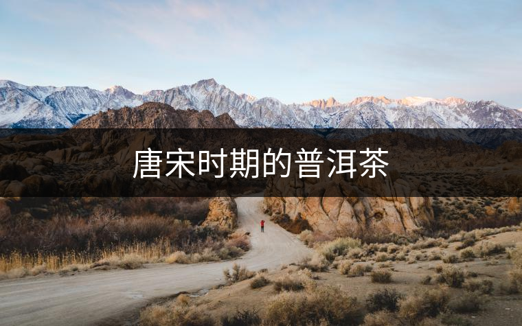 唐宋時期的普洱茶 唐宋時期的普洱茶