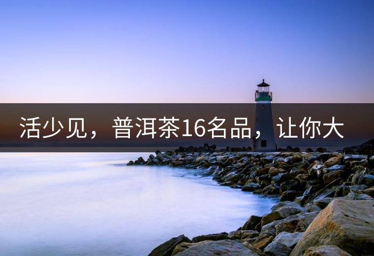 活少見，普洱茶16名品，讓你大開眼界