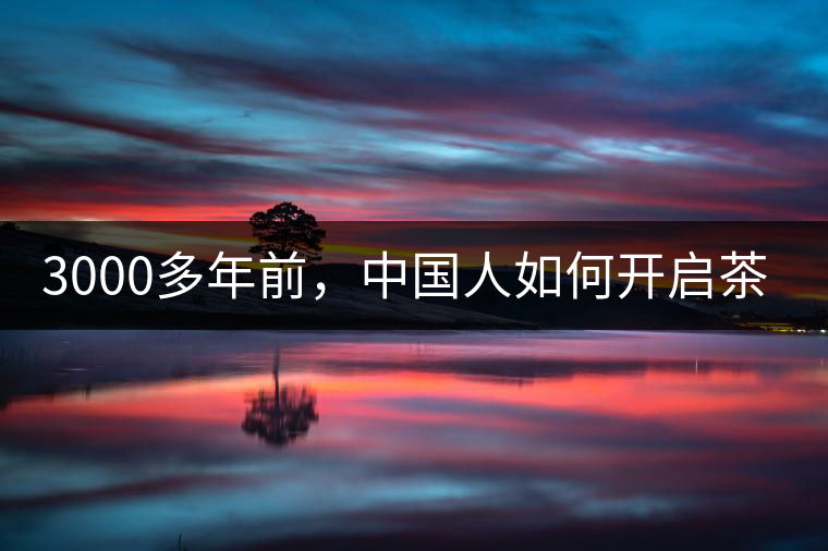 3000多年前，中國人如何開啟茶生活？