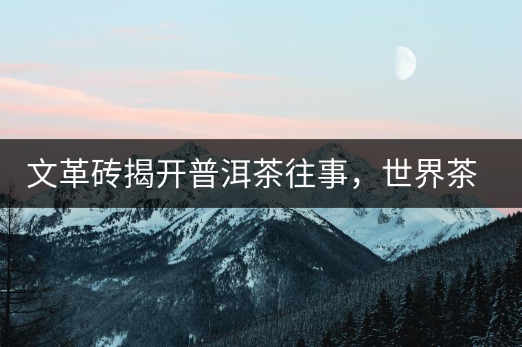 文革磚揭開普洱茶往事，世界茶文化交流協(xié)會成員共品經(jīng)典文革磚！