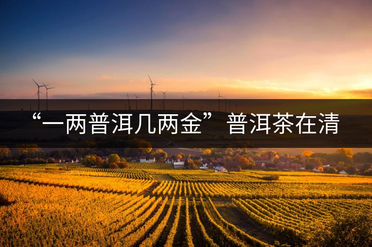 “一兩普洱幾兩金”普洱茶在清代為啥這么火？！