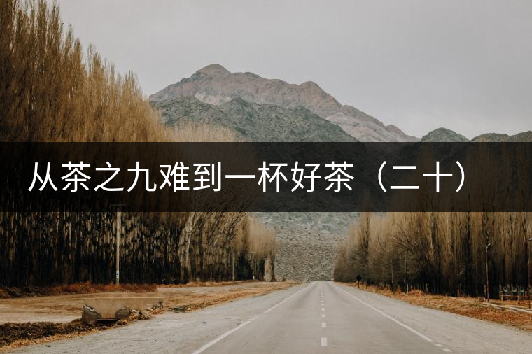 從茶之九難到一杯好茶（二十）一盞香茗酬知音