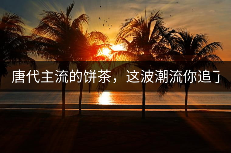 唐代主流的餅茶，這波潮流你追了嗎？