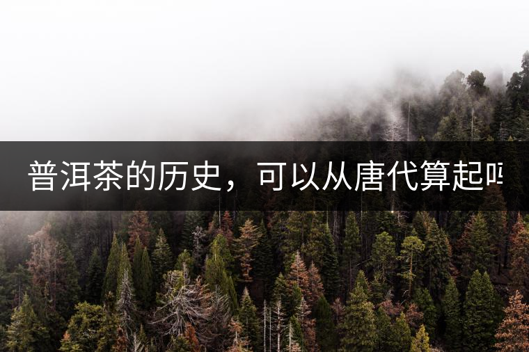 普洱茶的歷史，可以從唐代算起嗎？