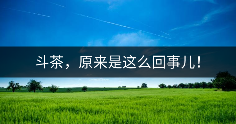 斗茶，原來是這么回事兒！