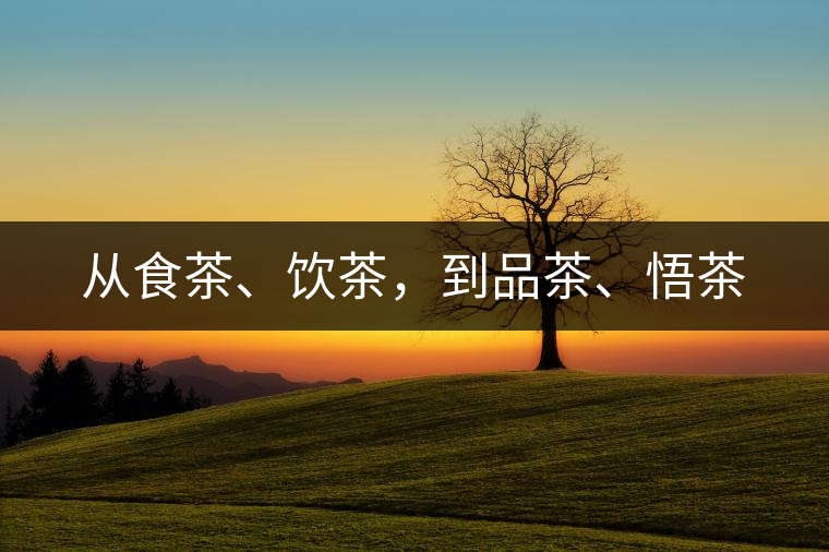 從食茶、飲茶，到品茶、悟茶