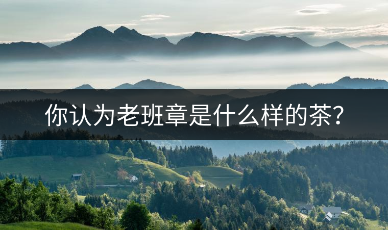 你認(rèn)為老班章是什么樣的茶？