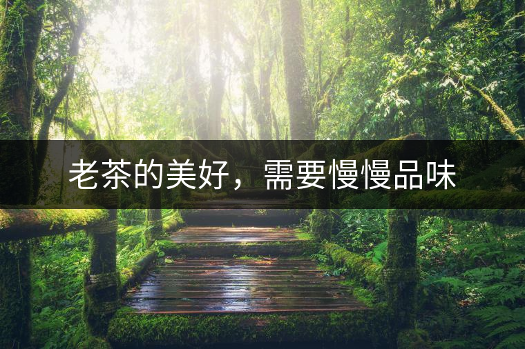 老茶的美好，需要慢慢品味