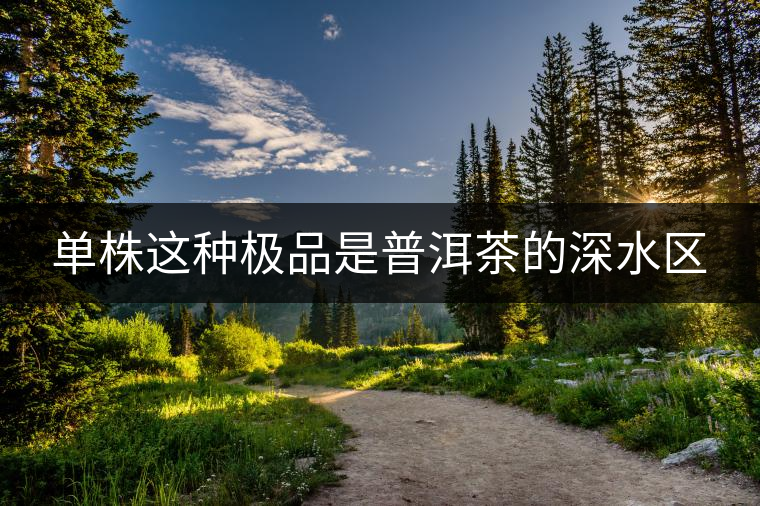 單株這種極品是普洱茶的深水區(qū) 單株這種極品是普洱茶的深水區(qū)