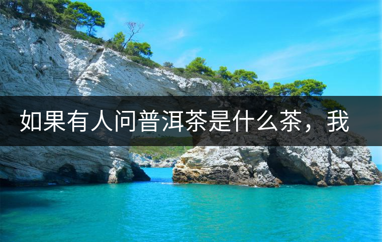 如果有人問普洱茶是什么茶，我就請(qǐng)他看這個(gè)段子