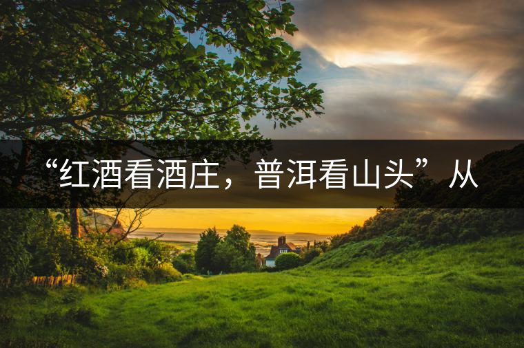 “紅酒看酒莊，普洱看山頭”從這里秒懂普洱茶的未來