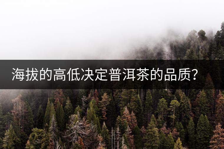 海拔的高低決定普洱茶的品質(zhì)？【附：名山頭茶海拔表】