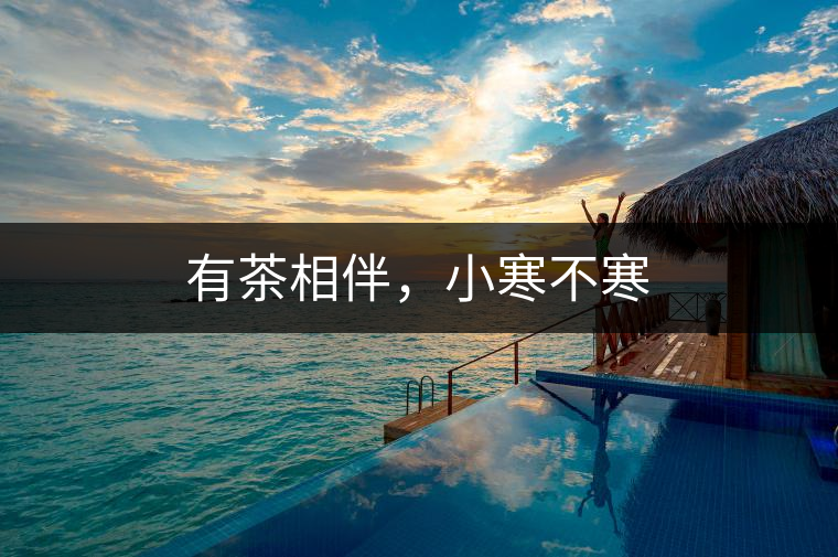 有茶相伴，小寒不寒