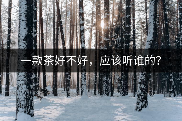 一款茶好不好，應(yīng)該聽誰的？