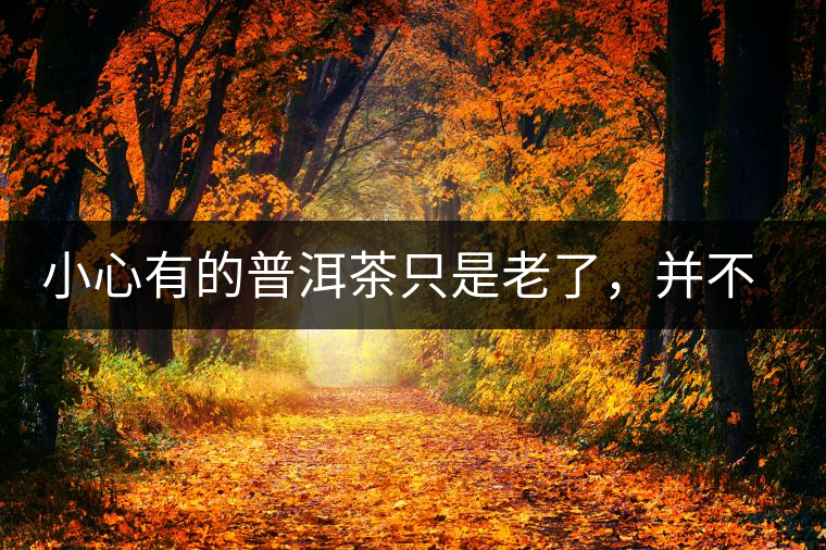 小心有的普洱茶只是老了，并不是好了