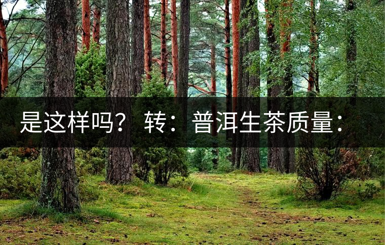 是這樣嗎？ 轉(zhuǎn)：普洱生茶質(zhì)量：大廠和小廠沒有區(qū)別