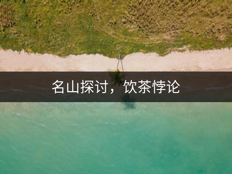 名山探討，飲茶悖論