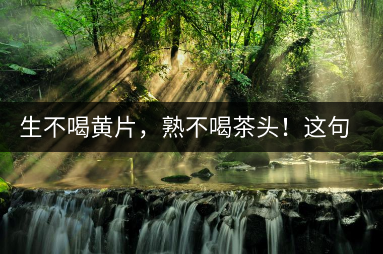 生不喝黃片，熟不喝茶頭！這句話你了解多少？