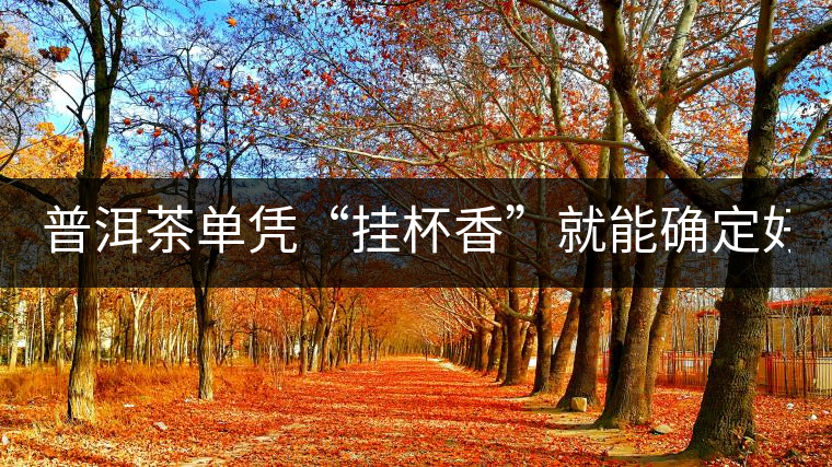 普洱茶單憑“掛杯香”就能確定好壞？you錯(cuò)了！