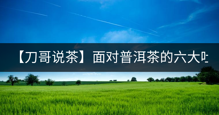 【刀哥說(shuō)茶】面對(duì)普洱茶的六大吐槽, 憑什么買(mǎi)你家的? 【刀哥說(shuō)茶】面對(duì)普洱茶的六大吐槽, 憑什么買(mǎi)你家的?