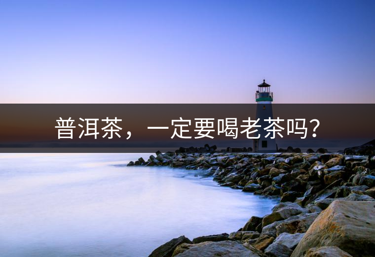 普洱茶，一定要喝老茶嗎？