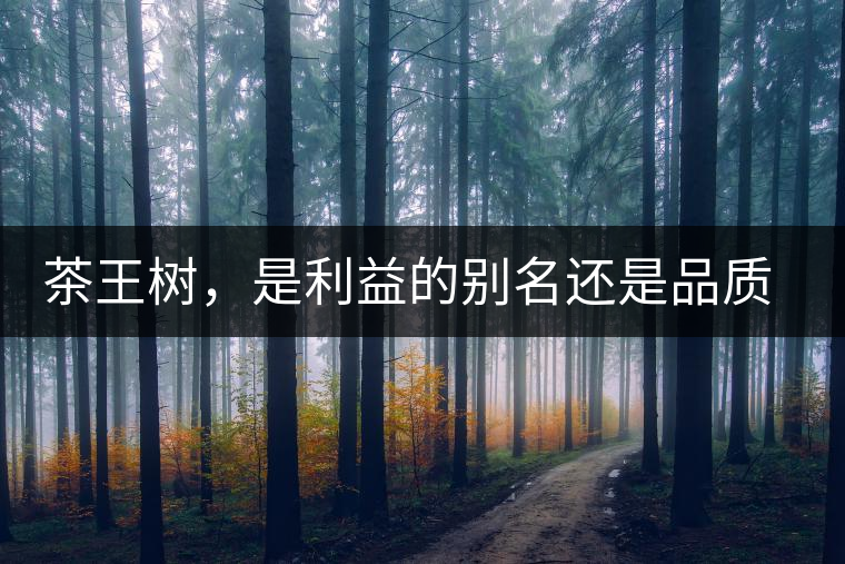 茶王樹，是利益的別名還是品質(zhì)的象征？