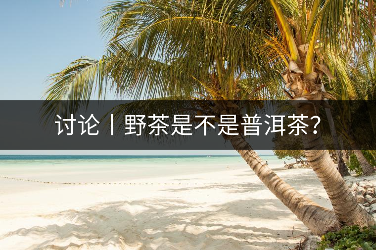 討論丨野茶是不是普洱茶？
