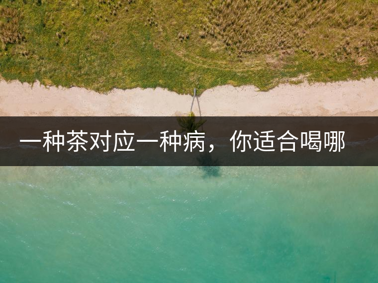 一種茶對(duì)應(yīng)一種病，你適合喝哪一種呢？