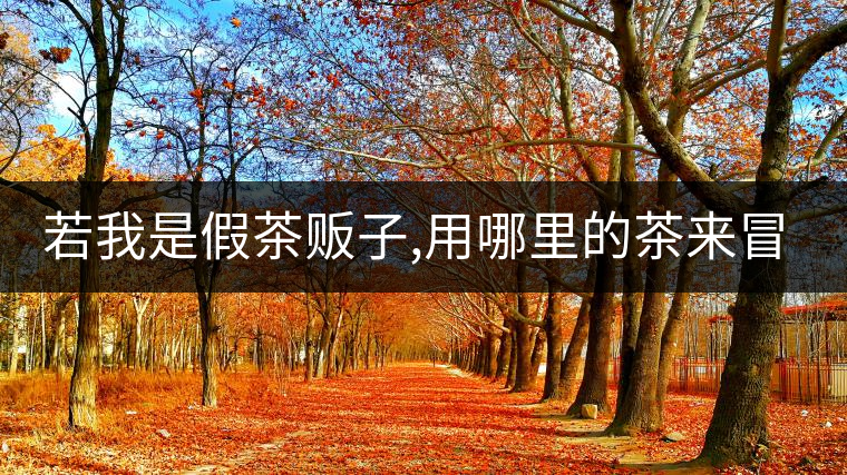 若我是假茶販子,用哪里的茶來冒充老班章/冰島/昔歸,才能讓你喝不透真假?