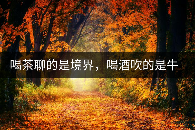 喝茶聊的是境界，喝酒吹的是牛皮