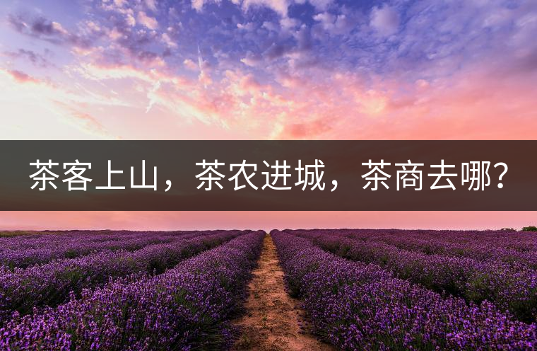 茶客上山，茶農進城，茶商去哪？