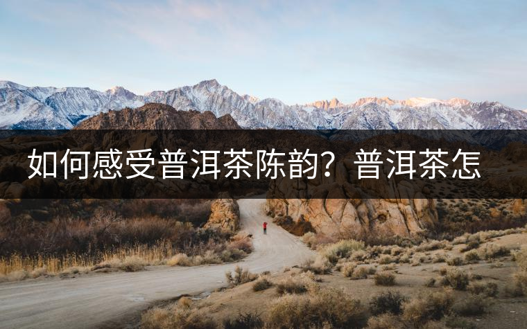 如何感受普洱茶陳韻？普洱茶怎么喝？