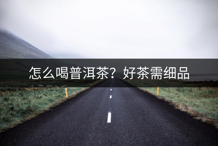 怎么喝普洱茶？好茶需細(xì)品