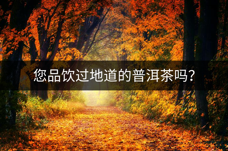 您品飲過地道的普洱茶嗎？