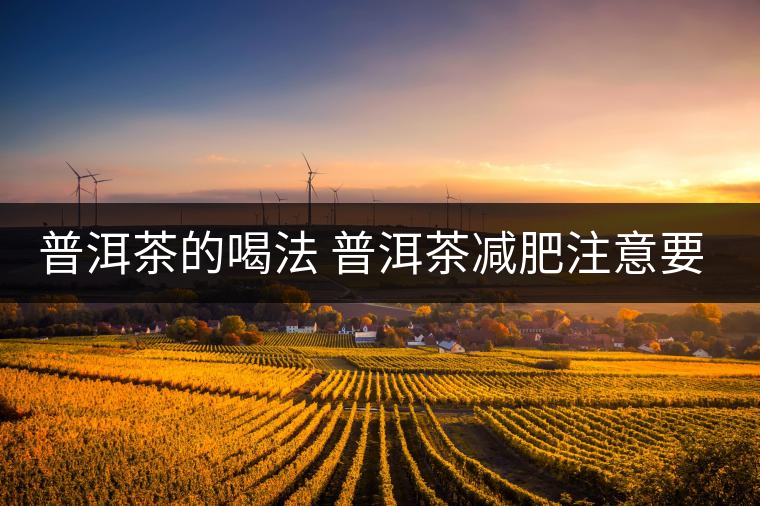 普洱茶的喝法 普洱茶減肥注意要點 普洱茶的喝法 普洱茶減肥注意要點