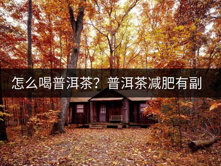 怎么喝普洱茶？普洱茶減肥有副作用嗎？