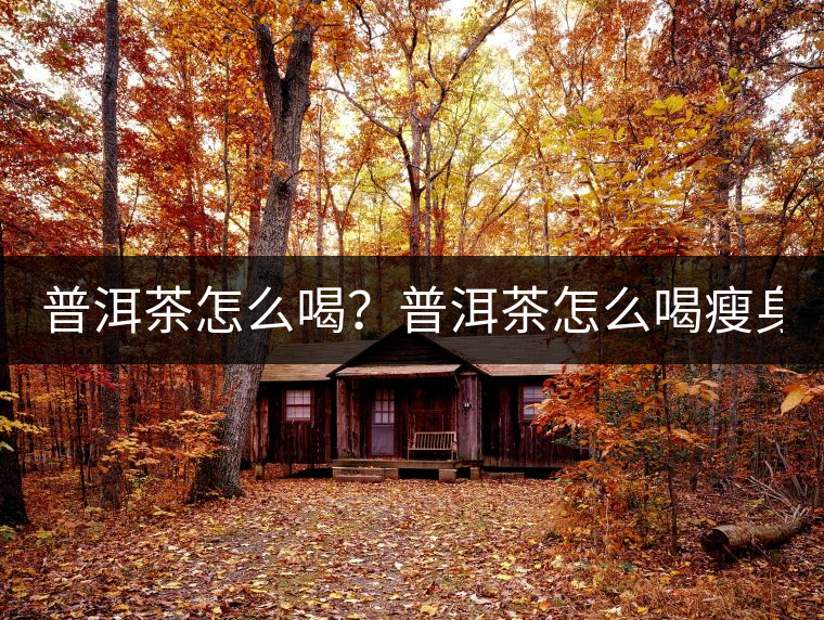 普洱茶怎么喝？普洱茶怎么喝瘦身？