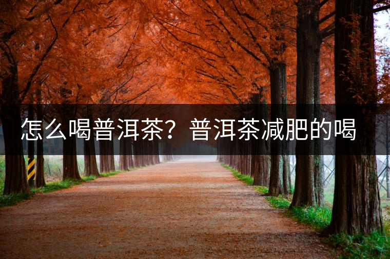 怎么喝普洱茶？普洱茶減肥的喝法
