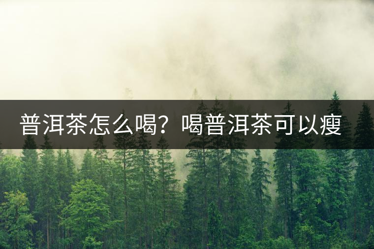 普洱茶怎么喝？喝普洱茶可以瘦腹嗎？