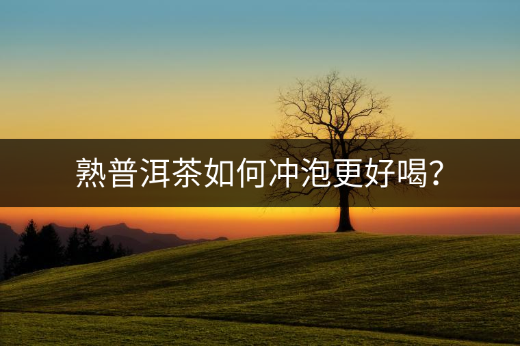 熟普洱茶如何沖泡更好喝？