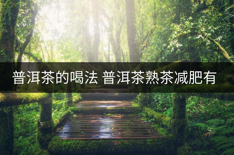 普洱茶的喝法 普洱茶熟茶減肥有什么效果嗎？