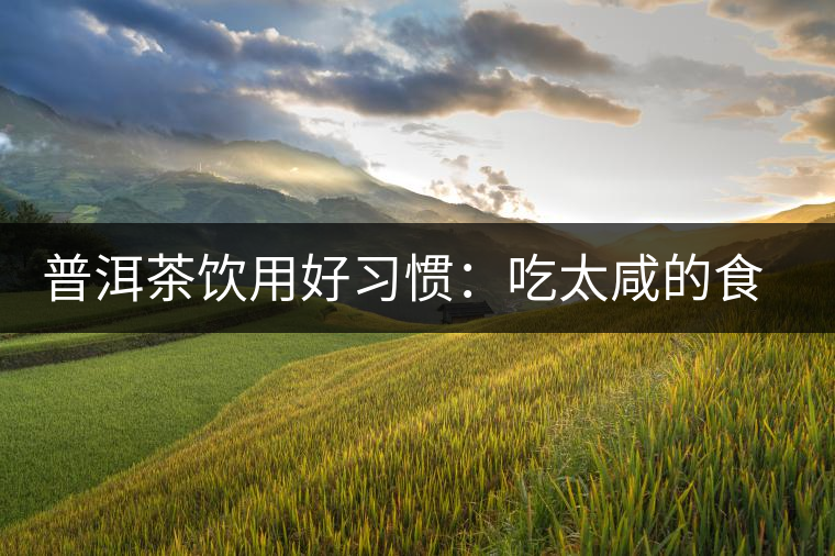 普洱茶飲用好習(xí)慣:吃太咸的食物后宜飲茶 普洱茶飲用好習(xí)慣:吃太咸的食物后宜飲茶