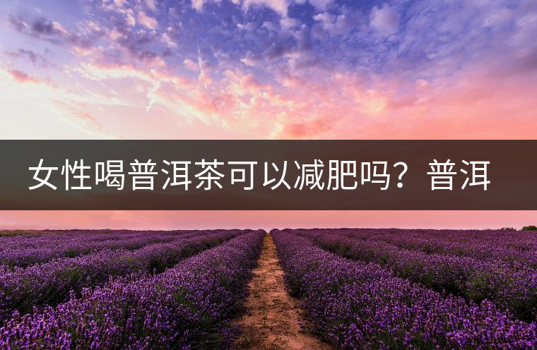 女性喝普洱茶可以減肥嗎？普洱茶的功效又有哪些呢？